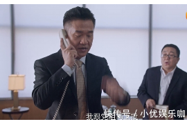 嵩明为什么选择专业追讨公司来处理您的债务纠纷？